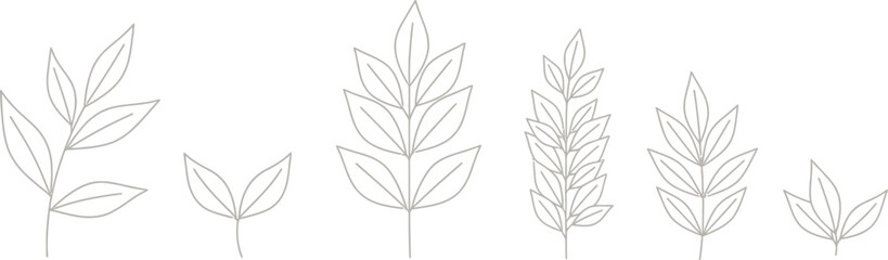 Delicate hand drawn sketch of various wheat stalks and grasses on a white background