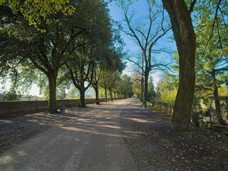 Lucca old town, the famous intact sixteenth-century city walls