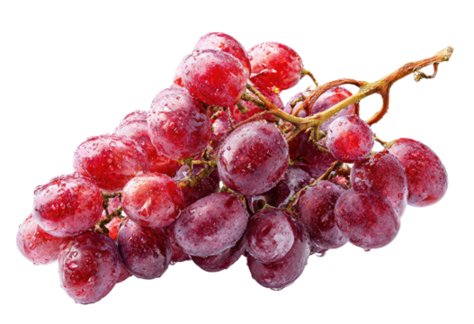 Fresh bunch of ripe red grapes glistening with water droplets