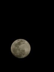 moon in the night sky