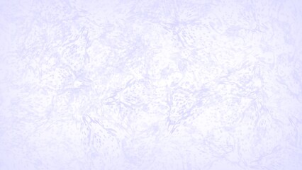 Soft Pink Watercolor Background for Feminine and Minimalist Design Templates.