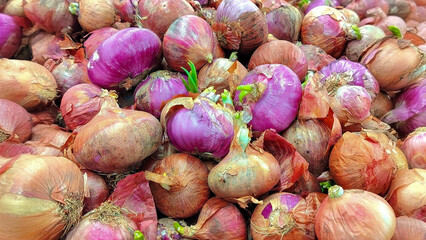 Pile of red onions with some sprouting green shoots ready for cooking use