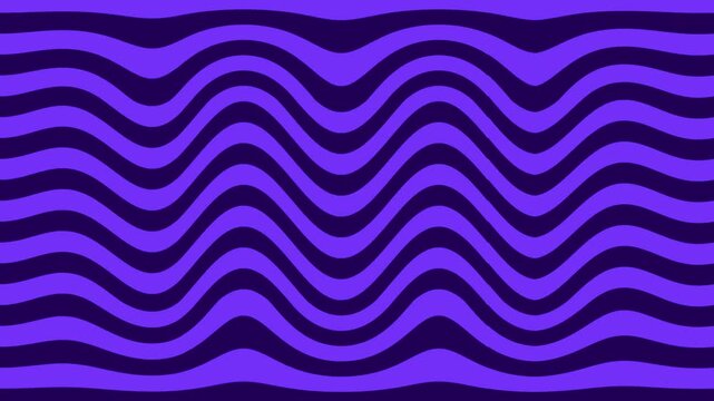 Vibrant Abstract Purple Wavy Lines Background Loop