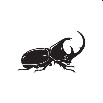 Dung beetle vector icon on white background