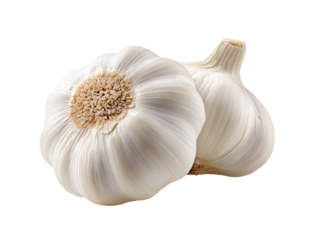 Two white garlic bulbs on a black background