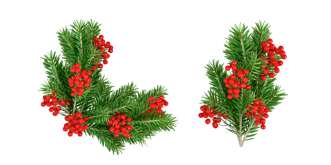 christmas wreath on white background