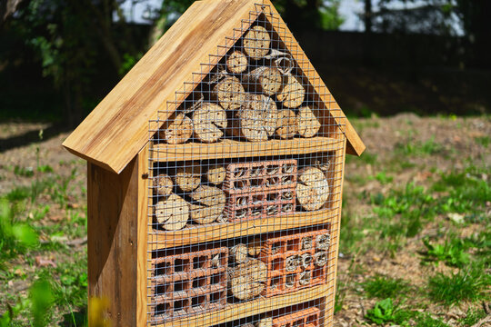 Insect hotel promoting green living and natural balance