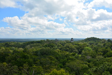 密林に浮かぶティカル遺跡