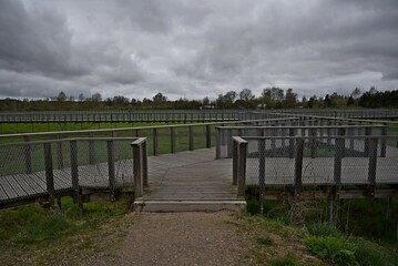 Pedestrian bridges for walking.