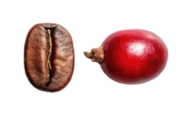 Two coffee beans, one roasted, one red cherry, on black