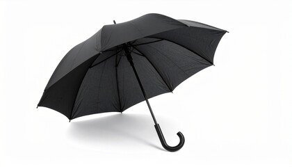 A fully opened black umbrella with a curved handle and multiple canopy panels, centered against a plain white background. Soft shadow beneath enhances its classic silhouette.