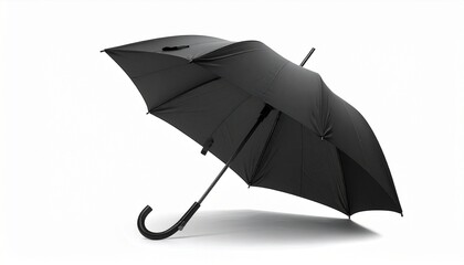A fully opened black umbrella with a curved handle and multiple canopy panels, centered against a plain white background. Soft shadow beneath enhances its classic silhouette.