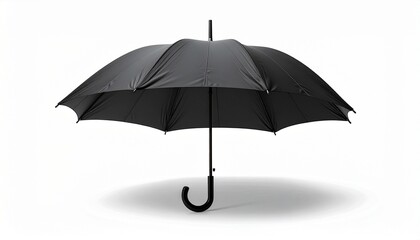 A fully opened black umbrella with a curved handle and multiple canopy panels, centered against a plain white background. Soft shadow beneath enhances its classic silhouette.