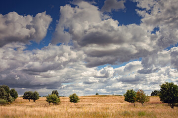 Cloudy day in countryside of Latvia.