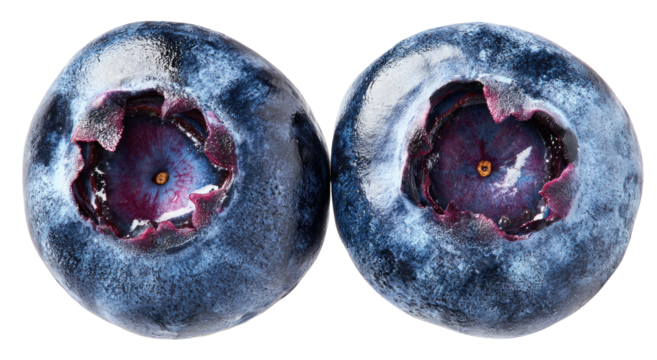 Close-up of two plump, deep blue berries with textured purple centers