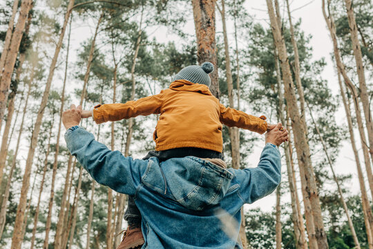 Father gives son a shoulder ride in pine forest during autumn