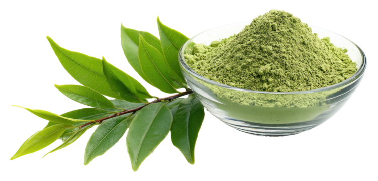 Fresh green leaves beside a bowl of herbal powder