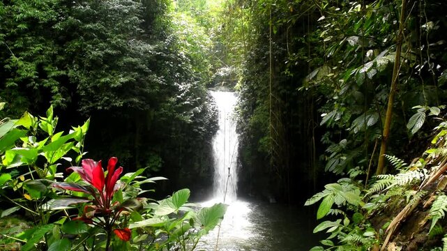 Small waterfall and serround at Babahan village in Tabanan regency of Bali Indonesia,with smooth clear water
