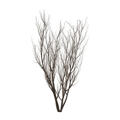 Obraz premium Bush bare isolated transparent background 3d rendering PNG 