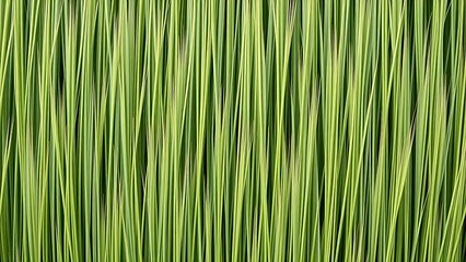 Obraz premium ryegrass. Slender ryegrass blade textures in various green shades, minimalist botanical composition. gardening catalogs, home-decor guides, designed for home decor and floral branding.