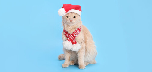Cute ginger tabby cat wearing a red Santa costume on a blue background, festive Christmas pet portrait, high-quality studio image