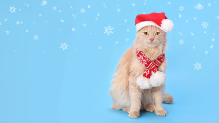 Cute ginger tabby cat in a red Santa costume on a blue background with falling snow, festive Christmas pet portrait for holiday design and seasonal marketing.