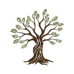 Olive trees with branches and leaves for design of packaging, label, logotype or banner. Natural organic stylized olive icon, premium quality sign. Vector illustration