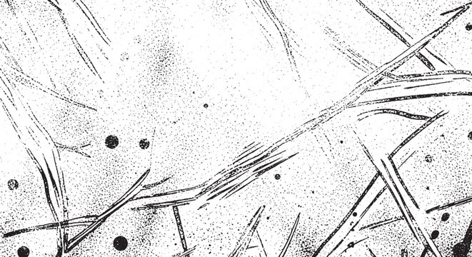 Microscopic view of metal alloy structure showing Widmansttten pattern useful for materials science and metallurgy research