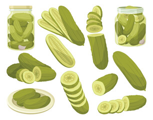 Homemade pickled cucumbers. Clip-arts of marinated food for packaging, label, menu, signboard or showcase. Fermented veggies, crunch gherkin with salt. Healthy vegetarian foods