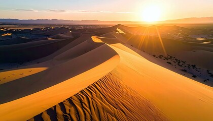 Vast desert landscape with rolling sand dunes bathed in the warm, golden light of a setting sun, casting long shadows and creating a dramatic, serene atmosphere