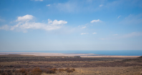a tranquil landscape with sparse shrubbery, a clear sky with minimal clouds, and a distant view of a calm sea meeting the horizon