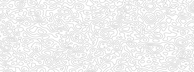 Abstract white pattern intricate lines detailed design artistic texture modern background.