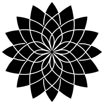 Intricate black geometric flower mandala design with white lines on white background