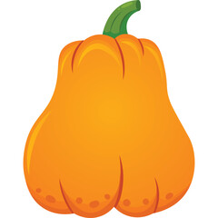 A Tall Orange Butternut Squash With A Green Stem And A Smooth Texture Set Against A White Background With Subtle Shadows Indicating A Soft Light Source