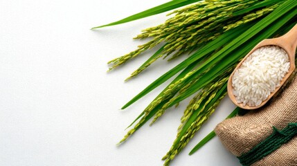 Freshly harvested rice grains and stalks on a clean surface with burlap sack and wooden spoon for cooking