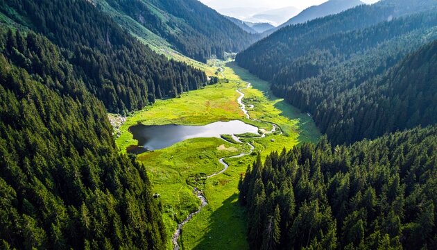 An aerial perspective captures a tranquil mountain valley featuring a reflective lake, a meandering stream, vibrant green fields, and dense coniferous forests.