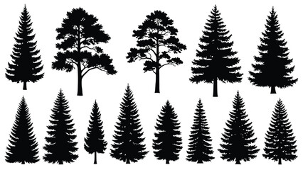 Fototapeta premium Collection of Diverse Evergreen Coniferous Trees Portrayed as Silhouettes in Various Shapes and Sizes for Natural Landscape Design Elements