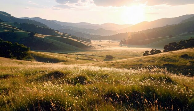 A serene landscape at sunrise, with rolling hills covered in green grass and trees, bathed in warm sunlight and a light mist in the valley.