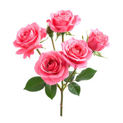 Rose Bouquet: A vibrant and elegant bouquet of five blooming pink roses, with their delicate petals and verdant green leaves, exudes an air of beauty and freshness.