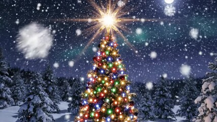 Illuminated Christmas tree in snowy forest.