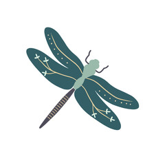 Dragonfly illustration isolated on white backgorund. Dragonfly flat illustration.