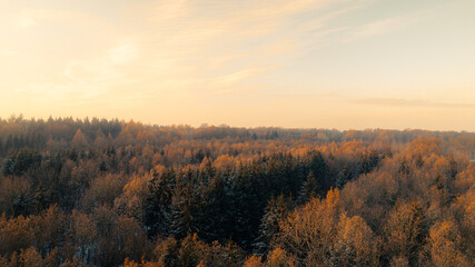 Wide aerial view of a forest in full autumn color as dawn light gently touches the treetops. The canopy of orange, yellow and green leaves contrasts with the soft pastel sky, creating a warm and seren
