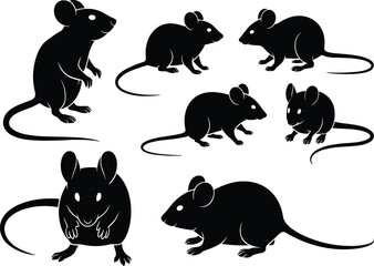 Mouse silhouette set, standing and crouching poses, black vector illustration, rodent anatomy design, small animal motion sketch