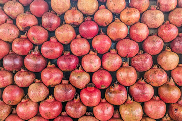 Lime (fruit),  green orange fruit, pomegranate fruit, Pomegranate fruit on a tree in a pomegranate garden. Selective focus, shallow depth.