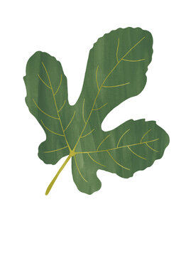 Gouache fig leaf &mdash; expressive brushwork, symbol of protection and natural rhythm. Perfect for botanical and design use.