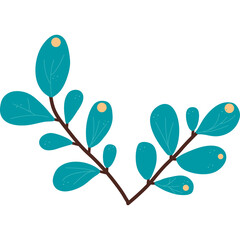 Turquoise Leafy Branch with Orange Berries on Transparent Background and White Backdrop