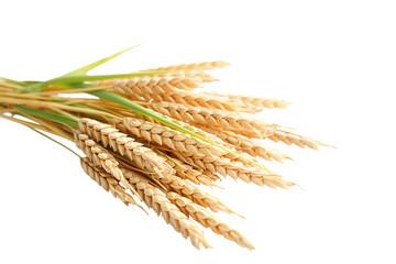 A bunch of ripe wheat ears with green leaves, , transparent background