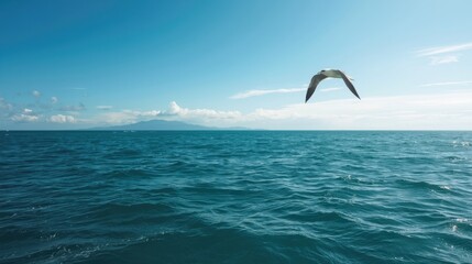Eco energy initiative promoting green energy awareness in coastal locations nature photography aerial blue ocean horizon