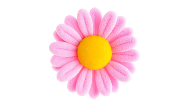 A soft pink daisy flower with a bright yellow center, isolated on a transparent background, transparent background