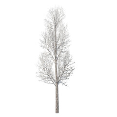 Fototapeta premium Tree snow covered isolated transparent background sketch PNG 
